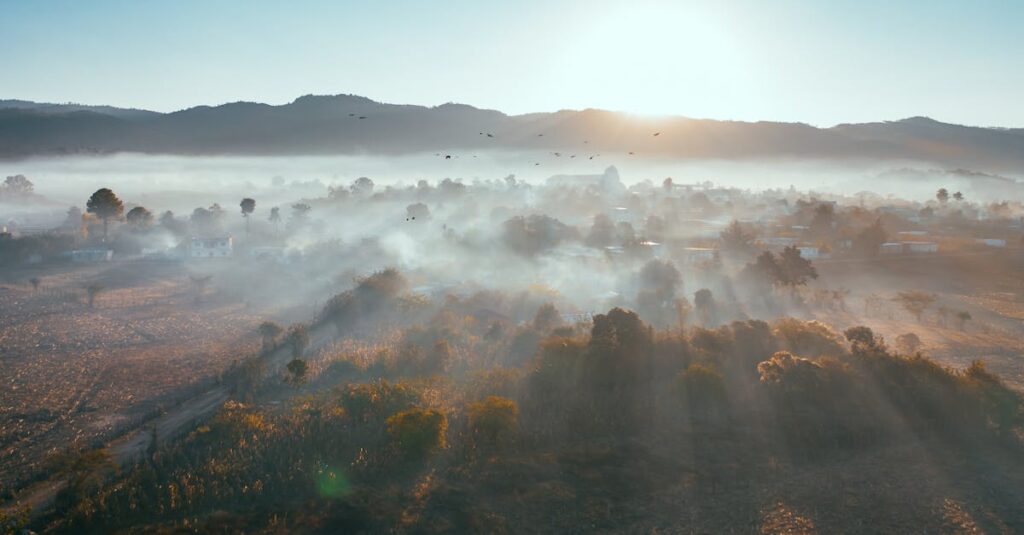 ヨガの旅路を歩む女性が、できない時期を乗り越えて成長していく様子